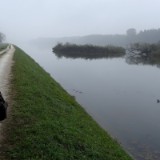 1310F 071 Donauradweg